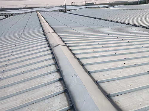 黑龍江鋼結(jié)構(gòu) 黑龍江鋼結(jié)構(gòu)